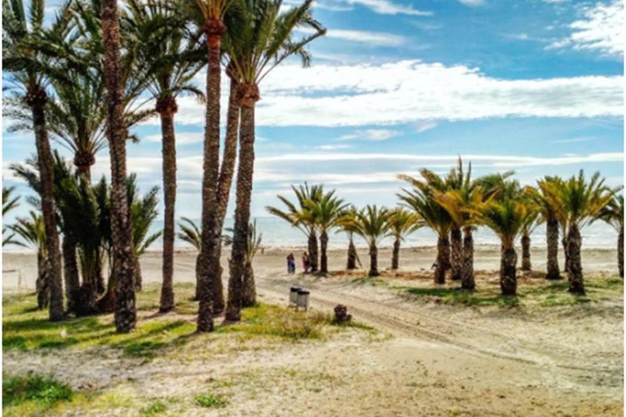 Apartamentoen La Playa, 200 Mts De La Playa Nuevo ซานตาโปลา ภายนอก รูปภาพ